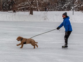 Josh Cudmore and Blue, his mini Goldendoodle, get some exercise on the lake at Hawrelak Park on Sunday, Jan. 2, 2022 in Edmonton. Greg Southam-Postmedia