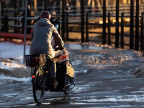 A mother and child ride towards the High Level Bridge in a cargo bikek in Edmonton, on Monday, Feb. 7, 2022.