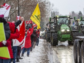 Tractors in a truck convoy cheered by people on downtown Edmonton street.