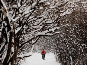 A cyclist navigates the heavy snow on a multi use path near 109 Street and 89 Avenue in Edmonton on March 4, 2022.