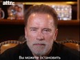 'You can stop this war,' Schwarzenegger says in video addressed to Russians.