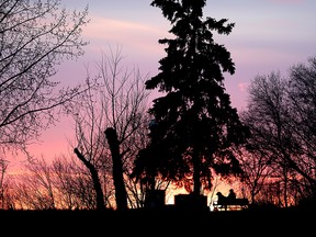 A person sits with their dog and watches the sunset from Edmonton's Constable Ezio Faraone Park, Wednesday April 13, 2022. David Bloom/Postmedia