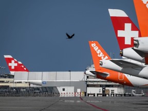 A bird flies between the tails of commercial planes of low cost airline EasyJet and Lufthansa's subsidiary Swiss airline parked due to flight interruption amid the spread of COVID-19 at Geneva Airport on April 3, 2020.