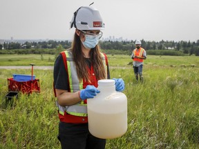 A City of Calgary industrial technician holds a jug of wastewater at a collection site as University of Calgary researchers check monitoring equipment for traces of COVID-19 in the wastewater system in Calgary, Alta. in July 2021.