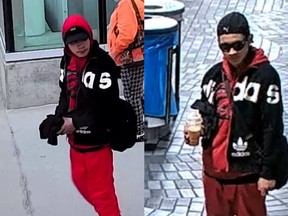 Edmonton police are seeking to identify a male suspect after an elderly woman was pushed onto LRT tracks at the Jubilee LRT station on Monday, April 25, 2022 at about 8:20 p.m.