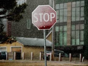 Stop sign in snowstorm