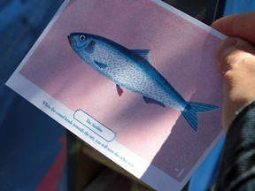 There are Fortune Postcards in Andrew Benson's Hole 12 Ofortuna.
