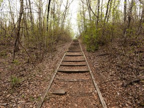 A rotting wooden staircase is seen at Strathcona Science Provincial Park between Edmonton and Sherwood Park, on Wednesday, May 18, 2022.
