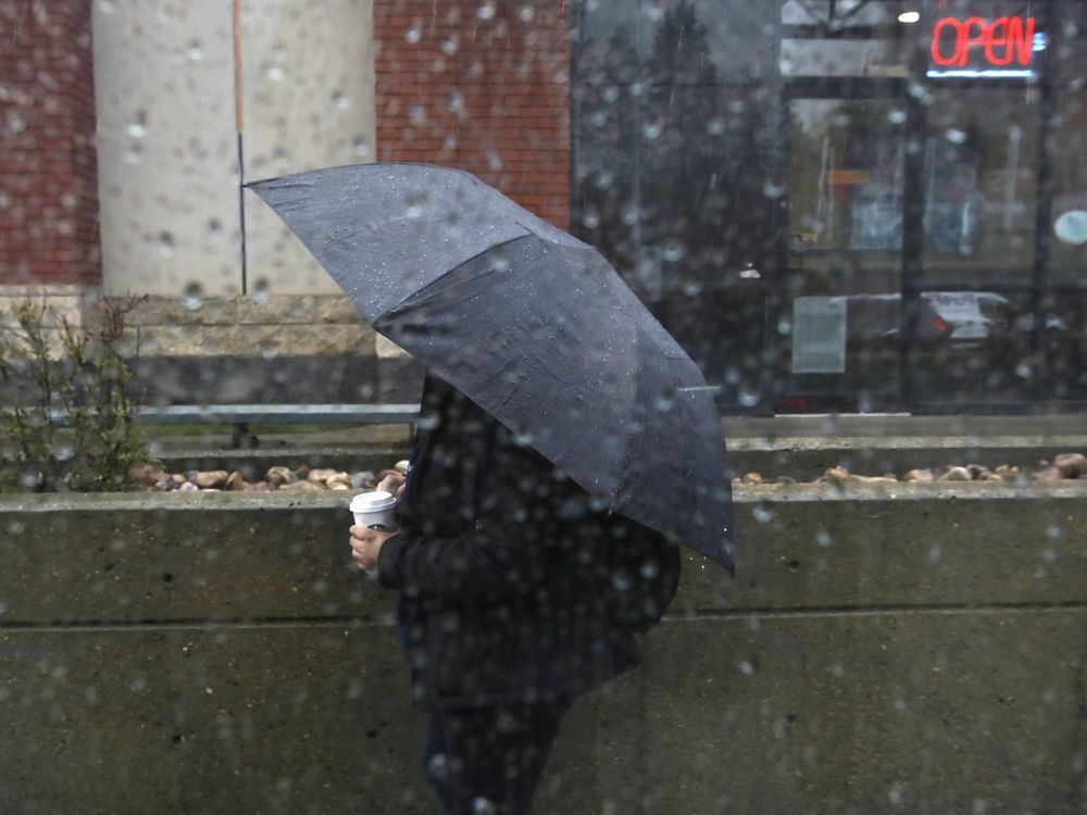 A pedestrian with an umbrella and a coffee walks near 109 Street and Jasper Avenue during a downpour in downtown Edmonton, on Thursday, May 19, 2022. Rainstorms moved through the city all day. 