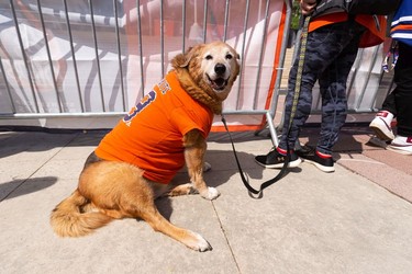 Twisty wore his favourite Leon Draisaitl shirt for an Edmonton Oilers fan rally held at Sir Winston Churchill Square to cheer the Oilers' playoff journey in Edmonton on Tuesday, May 24, 2022. The Oilers face the Calgary Flames in Game 4 of the Battle of Alberta series at Rogers Place tonight.