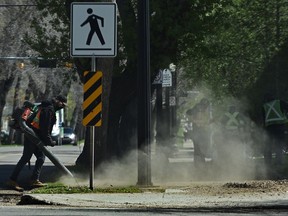 On May 17, 2022, a crew of workers kicked up dust while cleaning the spring of foliage and debris on the grass and sidewalks left over from winter in downtown Edmonton.Ed Kaiser / Post Media
