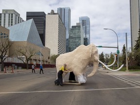 Gabs Degouw pushes her woolly mammoth lantern sculpture with the help of Alexander Gillis (not pictured) to its new home at the Royal Alberta Museum on Monday, May 16, 2022 in Edmonton. The sculpture which was commissioned by Arts on the Ave for the Deep Freeze Byzantine Winter Festival will be stored at the museum until it is used again for another festival. Ren the Mammoth will be ready for the public to see starting on Wednesday, May 18th.