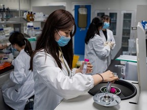 Scientists at Sinovac Biotech in Beijing work on an experimental vaccine for COVID-19.