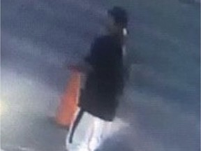 Edmonton police are asking the public's help in finding a suspect in a sexual assault that took place on Thursday, May 26, 2022, in the area of 156 Street between 92 Avenue and 93A Avenue. The suspect is described as a 30- to 40-year-old Indigenous male who is approximately 5 foot 9 inches tall with a muscular build and tattoos on both arms. He was reportedly wearing a blue t-shirt and white pants at the time of the attack. Supplied/Edmonton Police Service