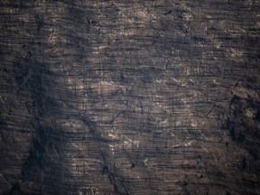 Burned trees are seen in the aftermath of the July 2021 White Rock Lake wildfire, in this aerial view southeast of Kamloops, British Columbia, on Thursday, August 12, 2021.