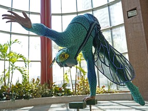 Kyle Cragle, um contorcionista de equilíbrio de mãos do Cirque du soleil: Ovo, demonstra extrema flexibilidade e força.