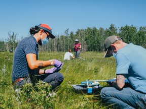 Participants in the 2022 cohort of the Summer Internship for Indigenous People in Genomics (SING) Canada preform field work as part of a week-long workshop. SING Canada offers Indigenous students, researchers and community members the opportunity to gain scientific research experience from an Indigenous perspective.