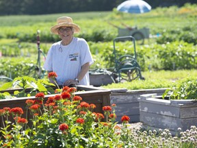 Patti Hartnagel is on the core committee of the Green and Gold volunteer garden. The garden covers two acres on south campus and has a garden market on Thursday evenings and Saturdays.   Photo by Shaughn Butts/Postmedia