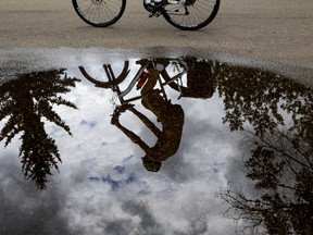 Edmonton weather: Get into bed, stay there until the rain stops A cyclist is reflected in a large puddle at Hawrelak Park in Edmonton Alberta, July 4, 2022.