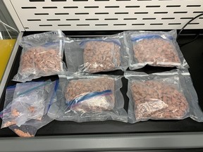 Following the arrests of two people in Edmonton, officers obtained a search warrant for their suite. Inside they located a loaded handgun and approximately five kilograms of fentanyl with an estimated street value of $760,000.