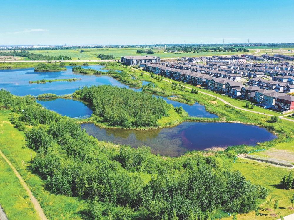 Measuring up Maple Ridge scores high on liveability Edmonton Journal