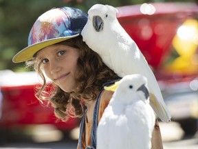 Katie Vogelaar, 8,  got up close with a pair of cockatiels as part of the family activities for the Law Enforcement Torch run that benefits Special Olympics in the Servus Credit Union parking lot on Karl Clark Road on Saturday, July 16, 2022.