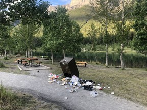 FILE PHOTO: Trash on the ground beside one of the bins along the Quarry Lake shore early on July 20, 2020.
