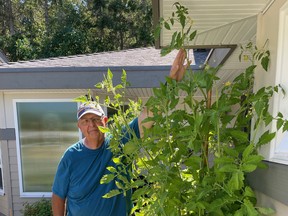Gerald Filipski and his Radiator Charlie's Mortgage Lifter Tomato.