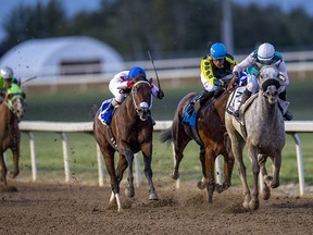 UPLOADED BY: Derek  Van Diest ::: EMAIL: dvandiest@postmedia.com ::: PHONE: 780-868-6838 ::: CREDIT: Supplied, Century Mile  ::: CAPTION: Uncharacteristic, right, wins the Canadian Derby at Century Mile racetrack on Sept. 11, 2021.