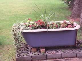 Repurposing bathtubs, which have a built-in drain, can be fun planters.