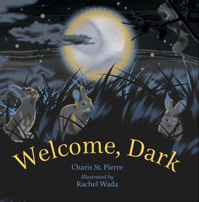 Hello, Dark is a new children's book by Charis St. Pierre from Edmonton.