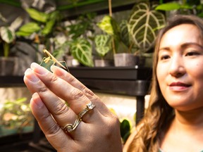 Ira Jones with a praying mantis she uses for pest control in her aroid nursery .