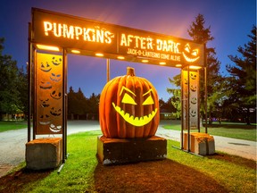Pumpkins After Dark opens Thursday at Borden Park.