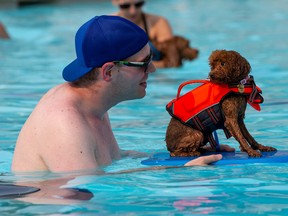 Ben Dubois and his dog, Bori, the toy poodle, take part in the Edmonton Humane Society's annual canine dive at Oliver's Pool on Saturday, September 3, 2022 in Edmonton with temperatures expected to reach 34°C.