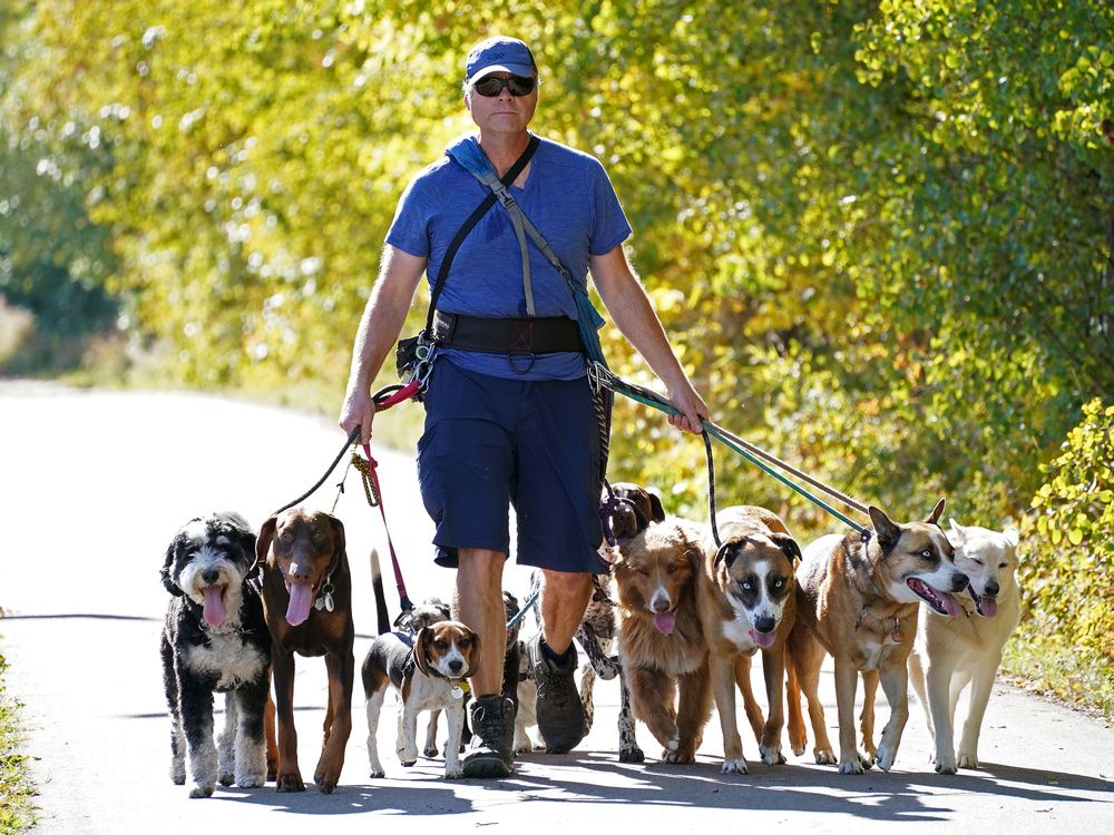 Edmonton weather Unseasonably warm temperatures are sticking around Edmonton Journal