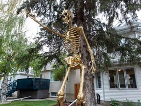 A giant golden skeleton stands in front of a Cloverdale home on Monday, Sept. 19, 2022, in Edmonton.