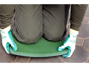 A kneeling pad is a life saver on the knees while gardening.