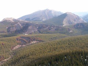 FILE PHOTO: The Dormer river valley in Banff National Park.