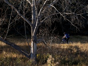 A cyclist crosses Rundle Park in Edmonton, Thursday, Oct. 27, 2022.