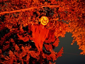 This creepy creature was hanging out in the trees outside a house on 50th Street and 106A Avenue in Edmonton's Gold Bar neighborhood. Halloween falls on Monday, October 31, 2022.