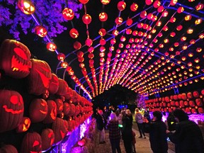 It was a busy night in the dark after the pumpkins on Friday, September 30th, 2022. A display of more than 6000 hand-carved pumpkins is held in Edmonton's Borden Park from September 29 to October 31, 2022.