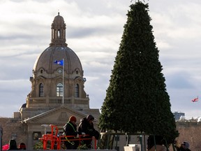 Workers set up a Christmas tree at Violet King Henry Plaza on Wednesday, November 16, 2022 in Edmonton.