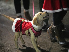 Thousands attended the Snowflake Festival in St. Albert, Alberta on Friday, Nov. 25, 2022.