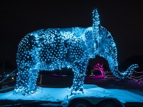 Zoominescence is an exhibition of artistic light installations within the unique setting of the Edmonton Valley Zoo. The festival’s vision, seen on Friday, Dec. 2, 2022, is to celebrate light, artistry, and the essential strong spirit of community in the winter.