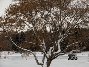 Edmonton City crews flood Hawrelak Park pond on Friday, December 23, 2022 in preparation for ice skaters. Photo by David Bloom