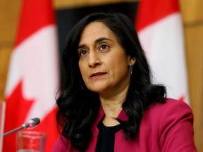 Defence Minister Anita Anand on Tuesday committed to implementing all 48 recommendations of a report on sexual misconduct in the military.