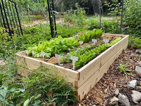 A raised garden bed, by Gardening With Sharon.