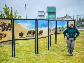 Jessica Burylo, public outreach education officer at Elk Island National Park, with Flying Canoë Volant's new exhibit, Lii Buflo.