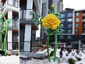 New art installation at Stadium Yards celebrates diversity