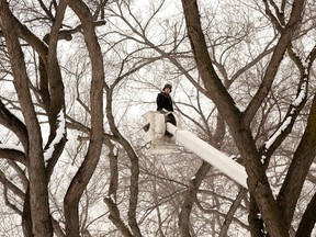 Gli equipaggi con Alberta Arborists tagliano gli alberi sul terreno della legislatura dell'Alberta a Edmonton, martedì 12 gennaio 2018.  10, 2023.